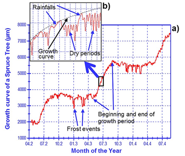 周長生長測(cè)量儀