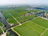 什么是高標準基本農(nóng)田建設(shè)？